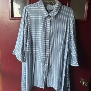 Catherines Blue and White Striped Shirt